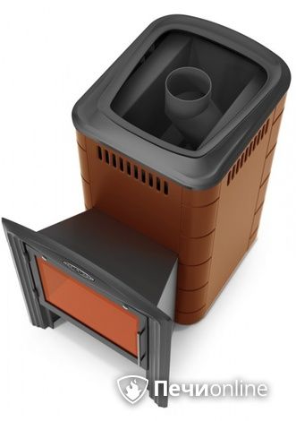 Дровяная печь-каменка TMF Тунгуска 2017 Inox Витра терракота в Абакане